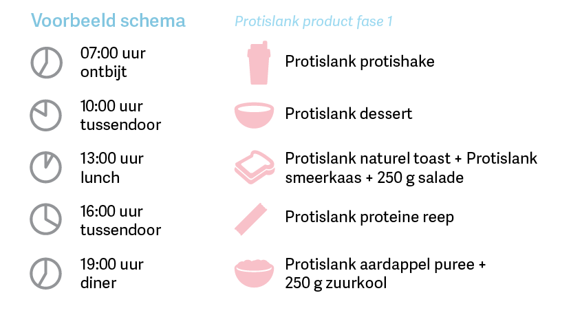 protislank fase 1 eetschema